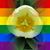 Katrina Mackey's profile image