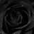 Jennifer DeGroat Nikolakos's profile image