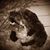 Joan Flagg Koch's profile image