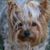 Michele Stewart's profile image