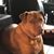 Kathy Watkins Fincher's profile image