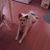 Linda Lu Rosser's profile image