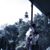 Huajing Li's profile image