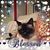 Carol Bold-Lepore's profile image