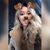 Amanda To's profile image