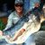 Steve Jones's profile image