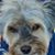 Diane Diaz's profile image