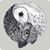 Susan Wenck's profile image