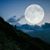 Marlena Fuller's profile image