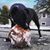 Darrell Briggs's profile image
