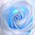 Osullivan Street's profile image