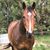 Kris Gloss Van Wyk's profile image