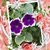 Lorrie Banks's profile image