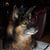 Amy Dubreuil's profile image