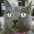 Daniel Kerwood's profile image