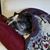 Lisa Robers White's profile image