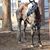 Barradas Aurelio's profile image