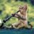 Grant Broberg's profile image