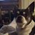 Anne McCarter Frase's profile image