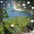 Becky Knesek's profile image