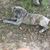 Don Cary Bounds's profile image
