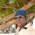 Varada Raj's profile image