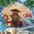 Carol Bickel Nelson's profile image