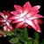 Lori Crawford's profile image