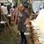 Camila Jaramillo Wolf's profile image