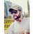 Shahab Baloch's profile image