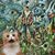 David Ian's profile image