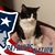 Karen Peabody's profile image