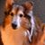 Phil Phillips's profile image