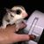 Donna Miller Pittman's profile image
