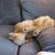 Melody Haddix Garwood's profile image