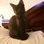 Cyndie Nash's profile image