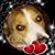 Trav Nelson's profile image