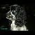 Cheri Rash's profile image