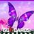 Lynette Long Newcomb's profile image