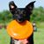 Maren Oslac's profile image