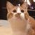 Amorita House's profile image