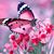 Theresa L Roski's profile image
