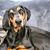 Bonnie Welsh's profile image