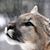 Debbie Mohollen's profile image