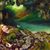 Panteli Beth's profile image
