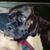 Cheryl Murray Nichols's profile image