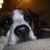 Jessica Good's profile image