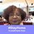 Margaret Bailey's profile image
