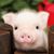 Donna Paris's profile image