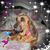 Elaine Newland's profile image